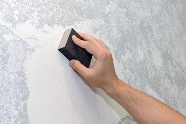 Best Basement Mold Removal  in Chapin, SC