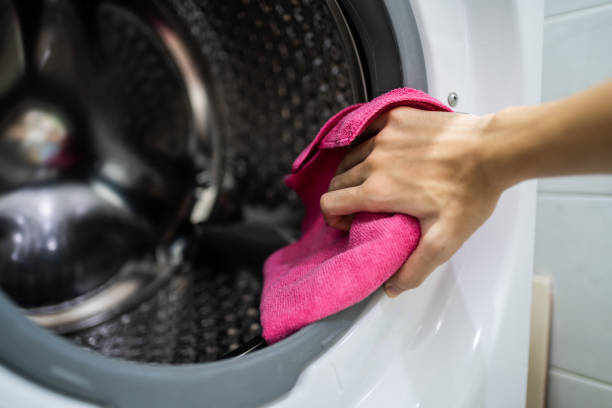 Trusted Chapin, SC Mold Removal Experts