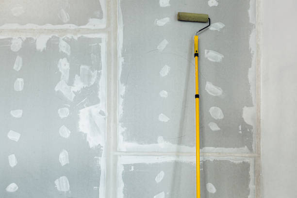 Best Biohazard Mold Removal  in Chapin, SC