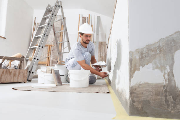 Best Residential Mold Inspection & Testing  in Chapin, SC