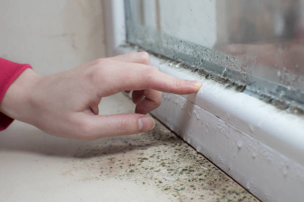 Best Post-Remediation Verification Testing  in Chapin, SC