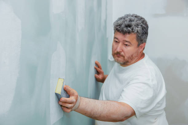 Best Environmental Consulting for Mold Prevention  in Chapin, SC