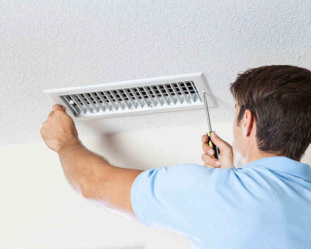 Best Mold Odor Removal Services  in Chapin, SC
