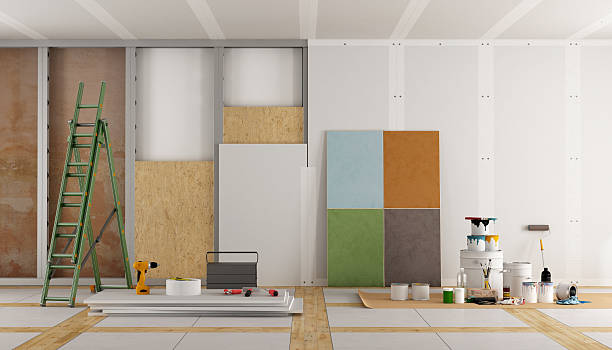 Best Attic Mold Removal  in Chapin, SC