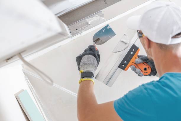 Asbestos and Lead Testing During Mold Inspection in Chapin, SC